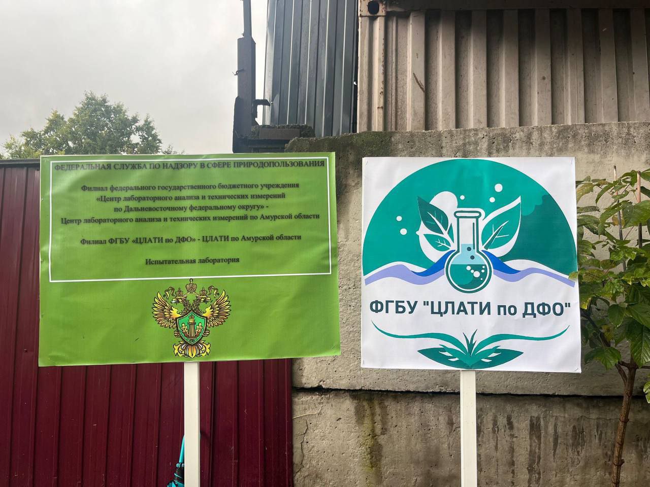 Фестиваль «Водорослям крышка - выпуск мальков сазана в р.Зея» прошел 12 сентября 2025 г. в г.Благовещенск